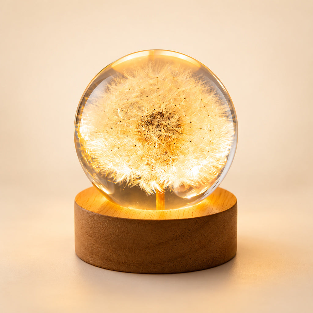 Bola de cristal luminosa con flor natural y base de madera