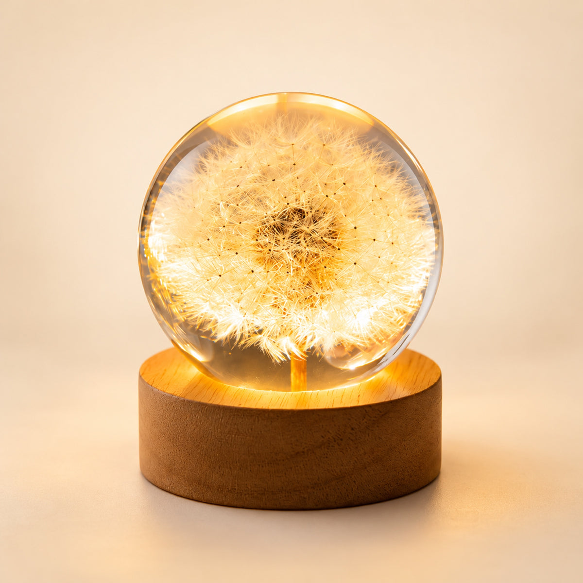 Bola de cristal luminosa con flor natural y base de madera