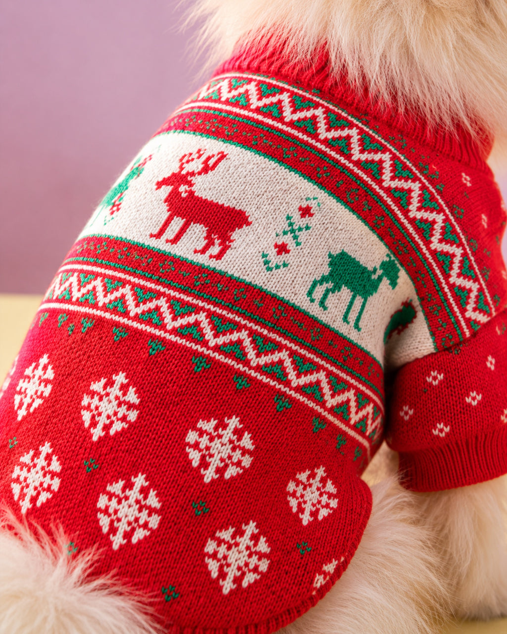 Jersey navideño para perro, detalle